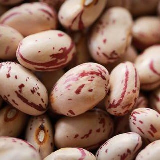 Rancho Gordo - Heirloom Cranberry Bean, 1Lb - myPanier