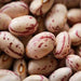 Rancho Gordo - Heirloom Cranberry Bean, 1Lb - myPanier